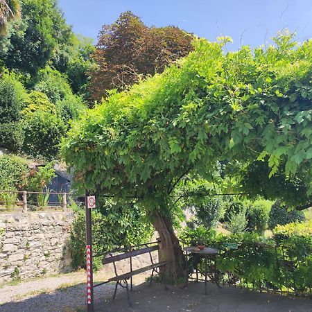 Villa Antonella, App. Vittoria Tavernerio ภายนอก รูปภาพ
