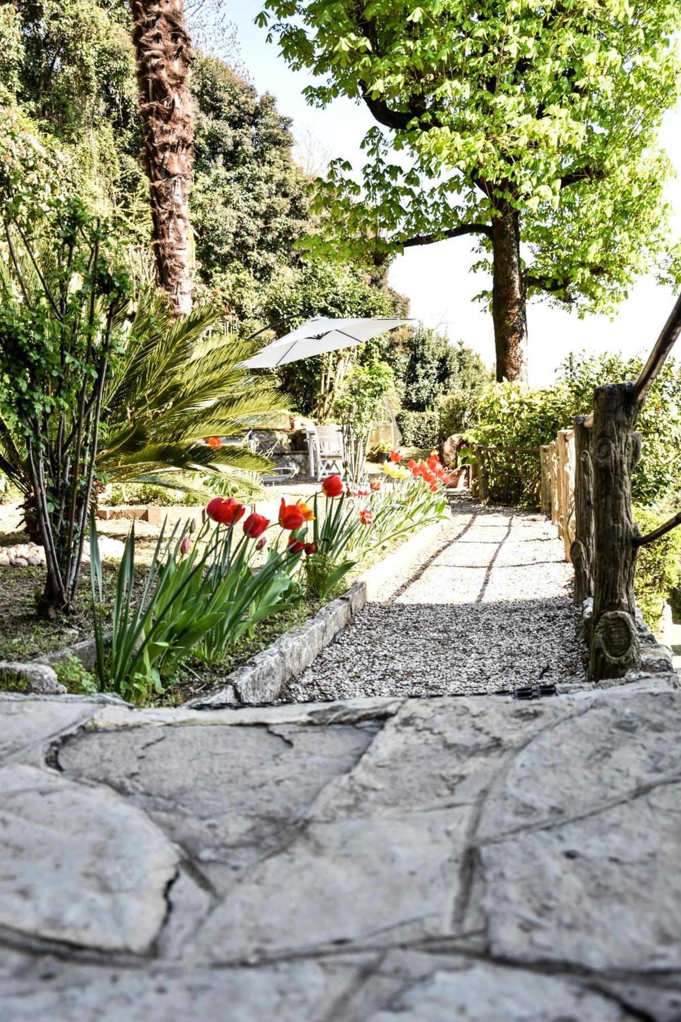 Villa Antonella, App. Vittoria Tavernerio ภายนอก รูปภาพ