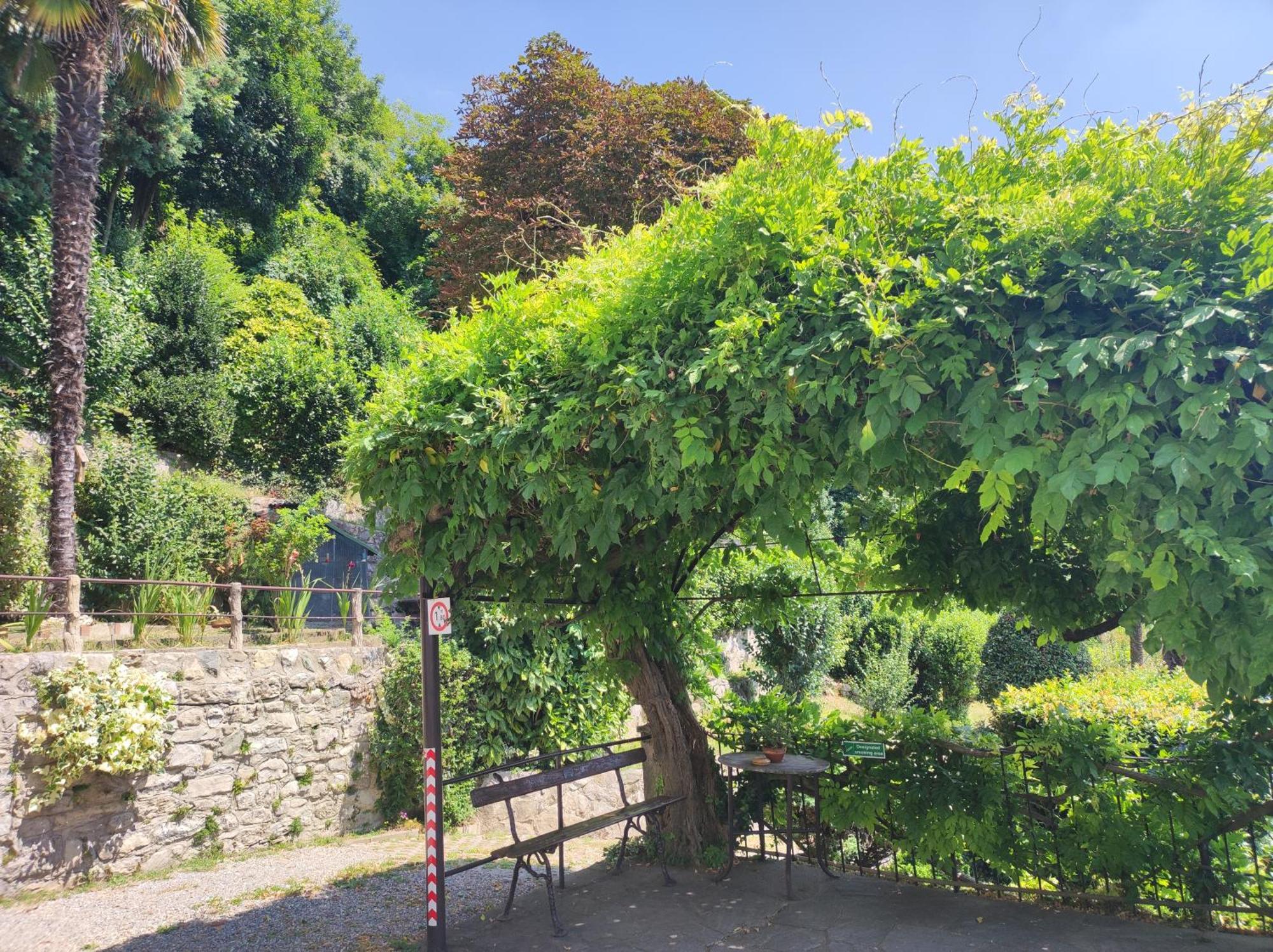 Villa Antonella, App. Vittoria Tavernerio ภายนอก รูปภาพ